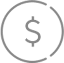 icon dollar