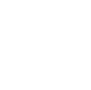 logo disenia