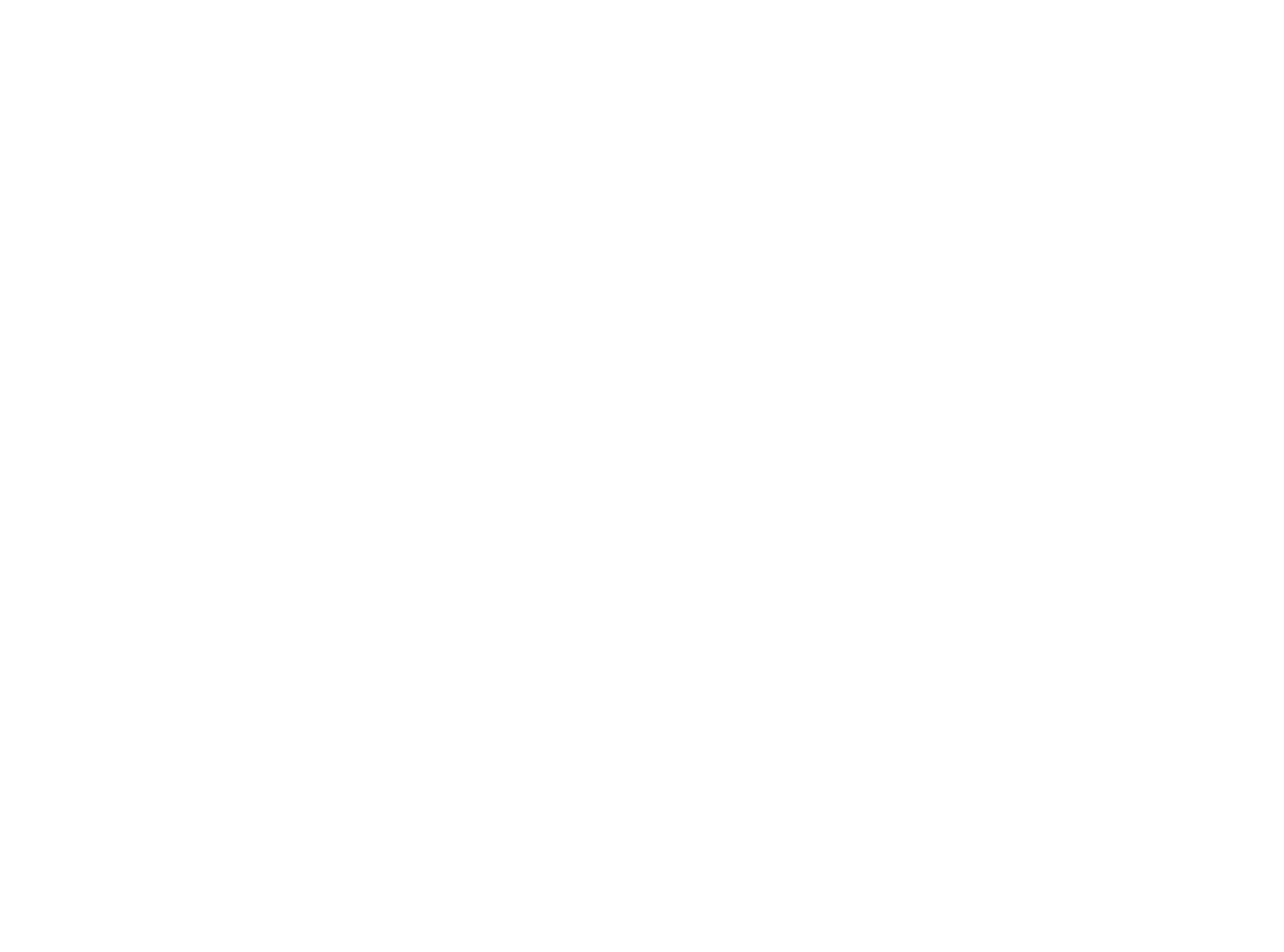 Urban Bonfire Logo white