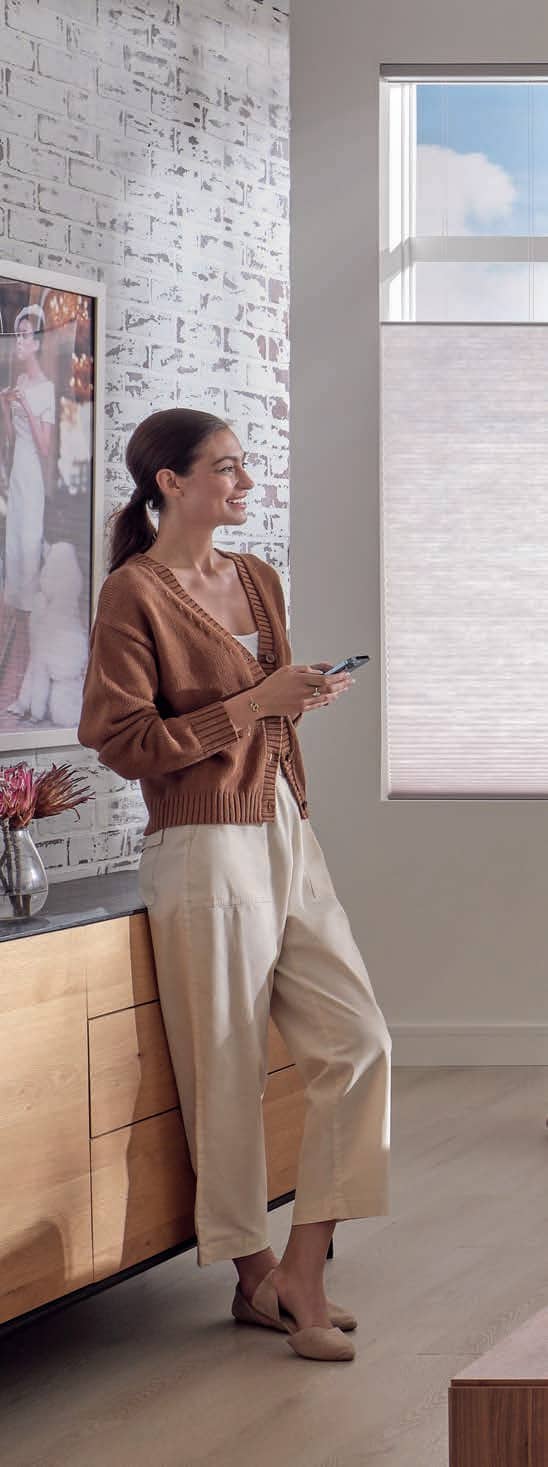 Window treatments Hunter Douglas