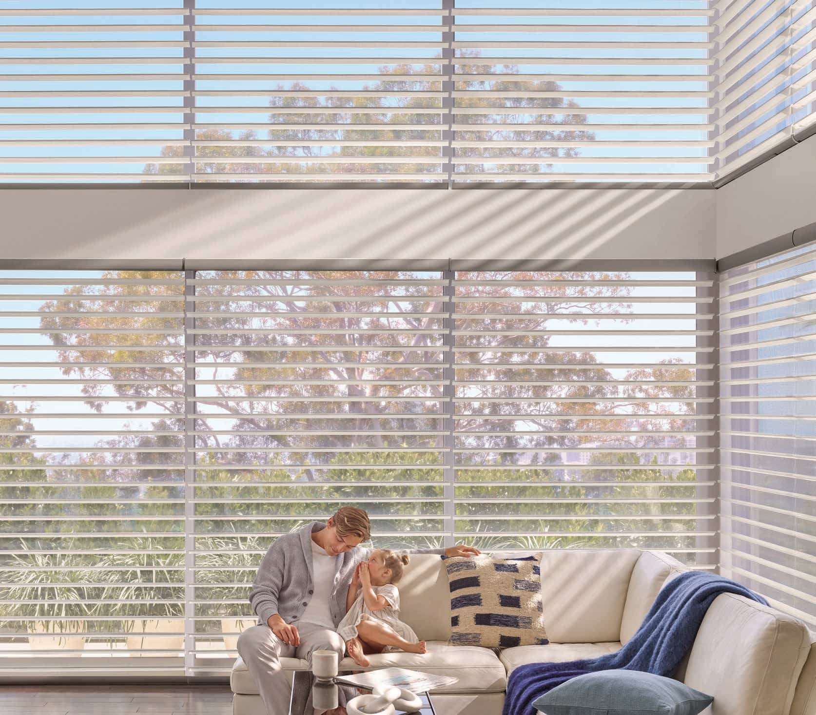 Window treatments Hunter Douglas